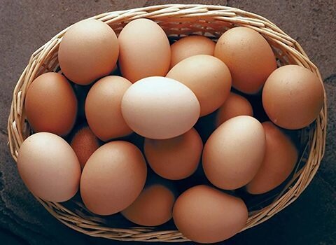 خوردن تخم‌مرغ خام محلی برای کم‌خونی مفید است؟