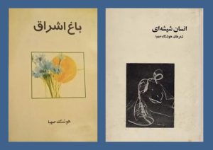 رسانه‌ای شدن خبر درگذشت یک شاعر بعد از چهار ماه