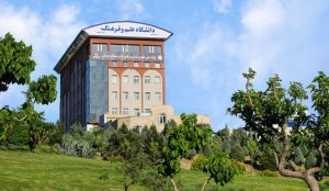 کسب مدال نقره مسابقات بین‌المللی پازل توسط دانشجوی ایرانی 