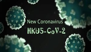 فقط یک جهش کوچک تا «اپیدمی»؛ کروناویروسِ HKU۵-CoV۲ در کمین/ باز هم پای خفاش‌ها در میان است؟