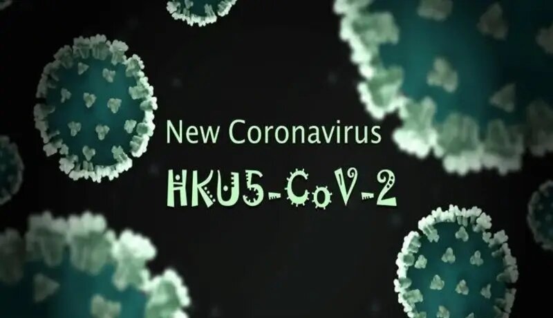 فقط یک جهش کوچک تا «اپیدمی»؛ کروناویروسِ HKU۵-CoV۲ در کمین/ باز هم پای خفاش‌ها در میان است؟