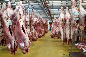 ابلاغیه جدید وزارت جهاد کشاورزی برای کالا‌های اساسی/ برنامه دولت برای تامین