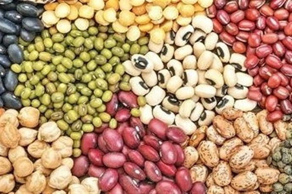 قیمت حبوبات و چای چقدر شد؟ / تصمیم جدید وزارت جهاد کشاورزی برای واردات -