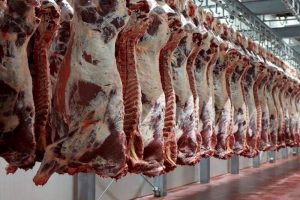 قیمت انواع گوشت گوساله و گوسفندی آزاد اعلام شد - تابناک