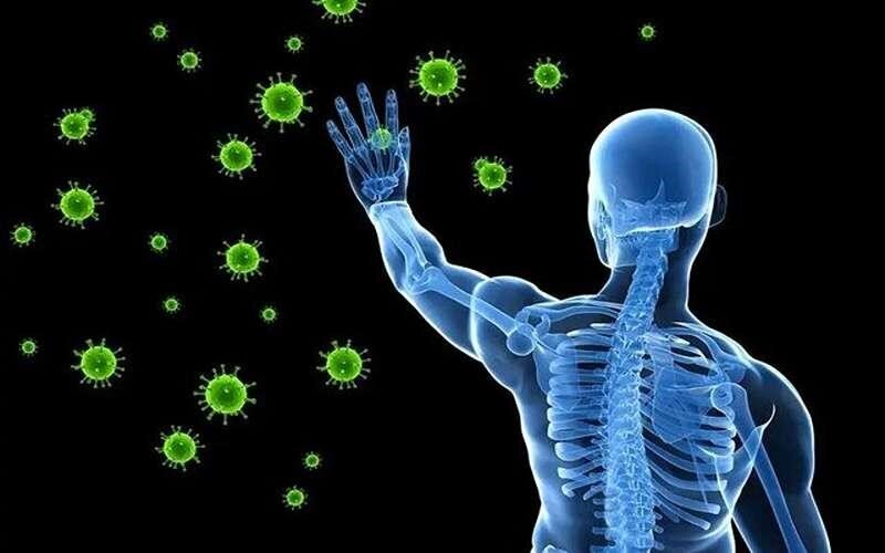 برای تقویت سیستم ایمنی بدن در روزهای پر استرس چه کار کنیم؟