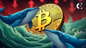 فروش ۹.۳ میلیارد دلاری بیت‌کوین توسط نهنگ ۱۴ ساله