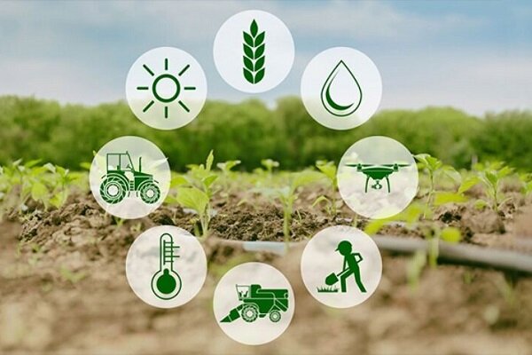 تشکیل ستاد ملی همکاری فناورانه در حوزه کشاورزی و امنیت غذایی - خبرگزاری مهر