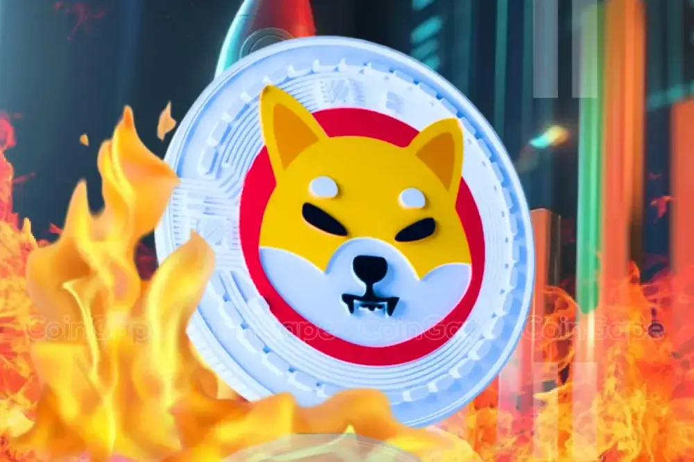 /shiba-inu-chainlink-ccip-token-burn