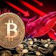 کاهش شتاب انباشت بیت‌ کوین توسط نهنگ‌ها