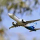 اطلاعات شخصی ۱.۲ میلیون مسافر شرکت هواپیمایی WestJet کانادا فاش شد